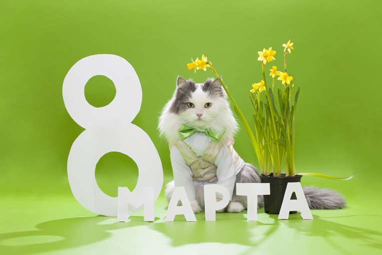 8 марта