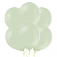 Букет Шары Макарунс нежно-зеленые 35 см