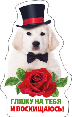 Магнит Гляжу на тебя... (серия 51.56.275) 1 шт