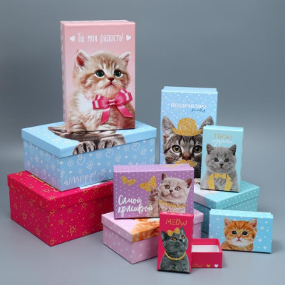 Коробка прямоуг Котики №8 26*17*10 см рис микс 1 шт Коробка прямоуг Котики №8 26*17*10 см рис микс 1 шт