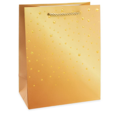 Пакет ламинат Звездное сияние 23*18*10 см 1 шт