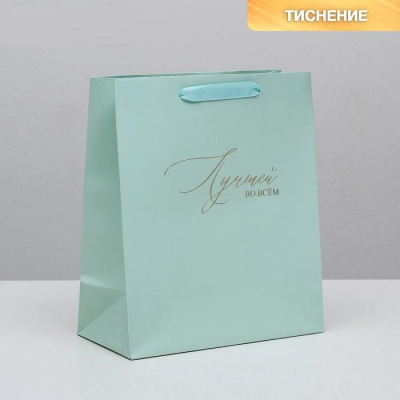 Пакет ламинат Лучшей во всем 23*27*11,5 см 1 шт