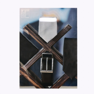 Пакет п/э Мужской стиль 29*40 см 1 шт