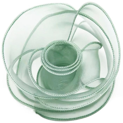 Лента декоративная с леской мята 4 см*9,14 м 1 шт