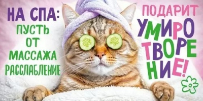 Серия 90000291  конверт для денег